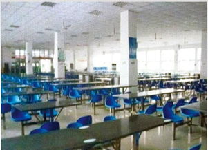 河南微笑餐飲管理公司閃耀中國食品春晚，榮膺優秀品牌彰顯卓越管理