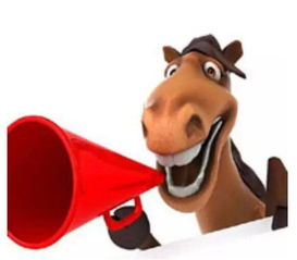 晴美互動榮獲綿陽網(wǎng)站建設(shè)前十強，深耕互聯(lián)網(wǎng)接入服務(wù)領(lǐng)域